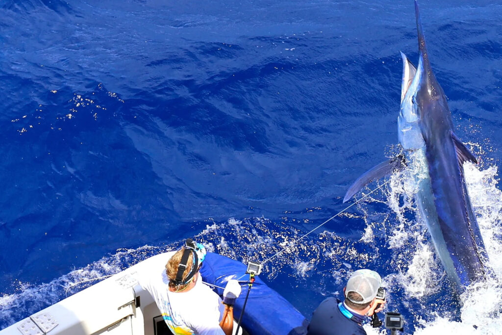 Sport Fishing Tour