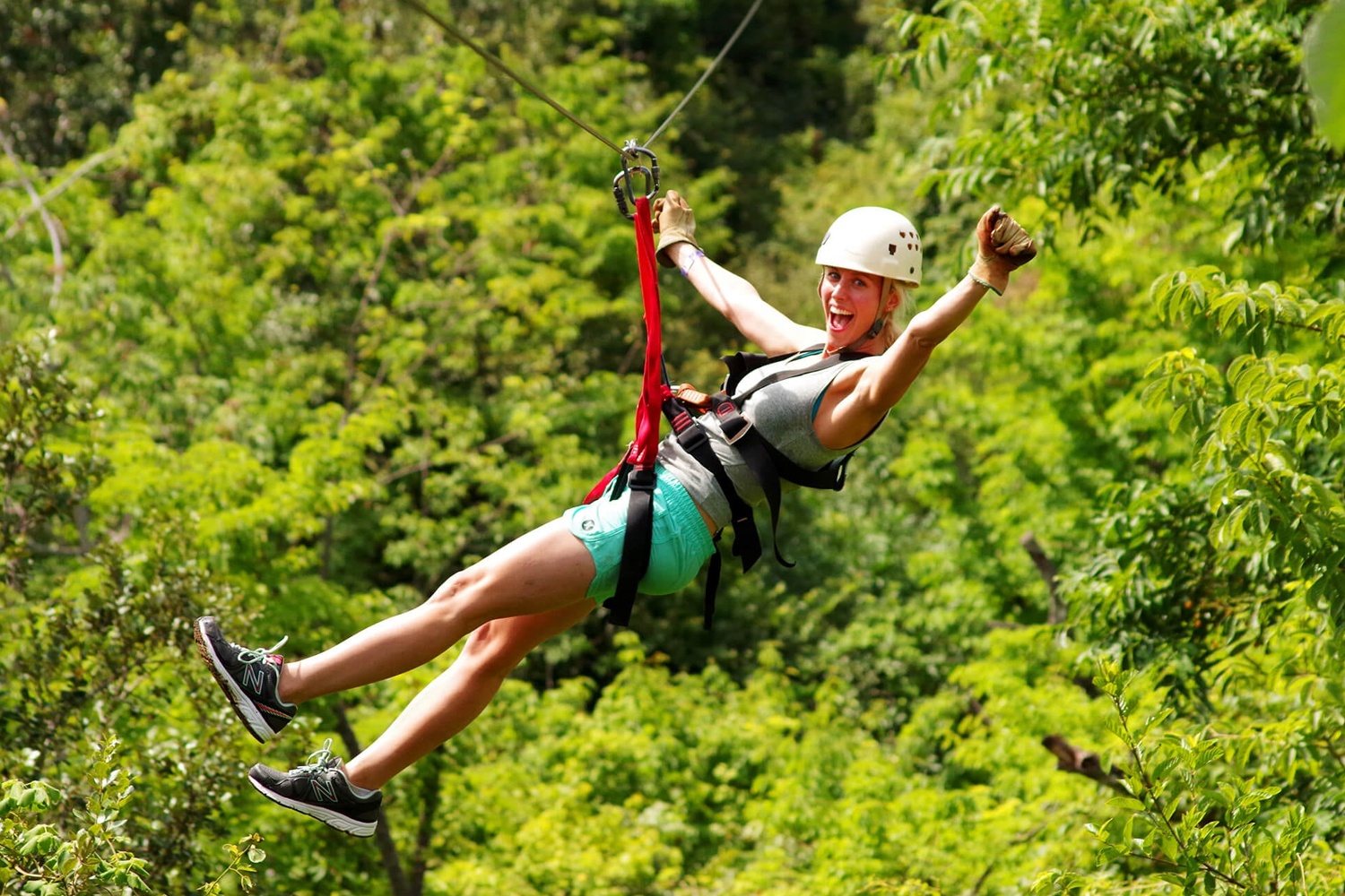Zip Line